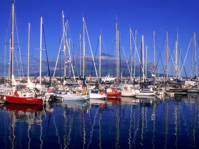Horta Marina - Photo 3