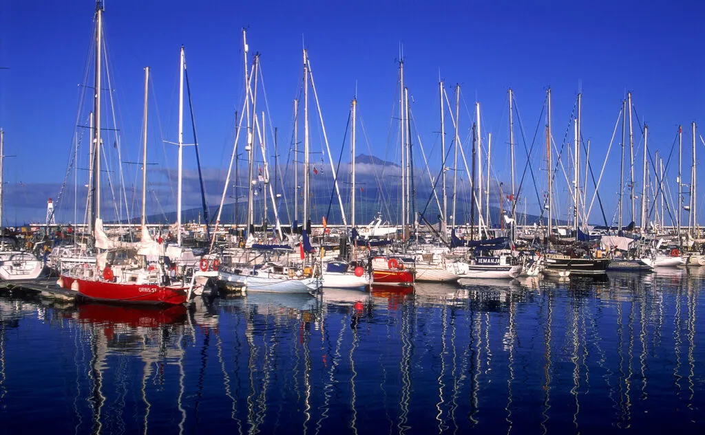 Horta Marina - Photo 3