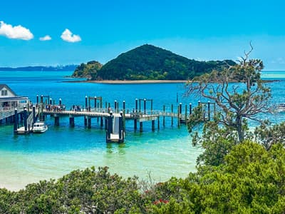 Paihia / Bay of Islands - Photo 4