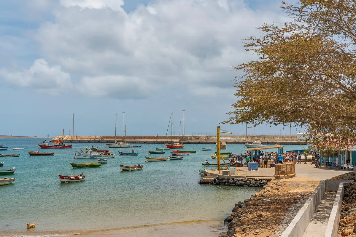 Sal Harbour - Main photo