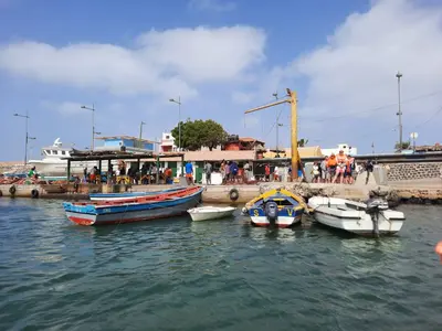 Sal Harbour - Photo 2