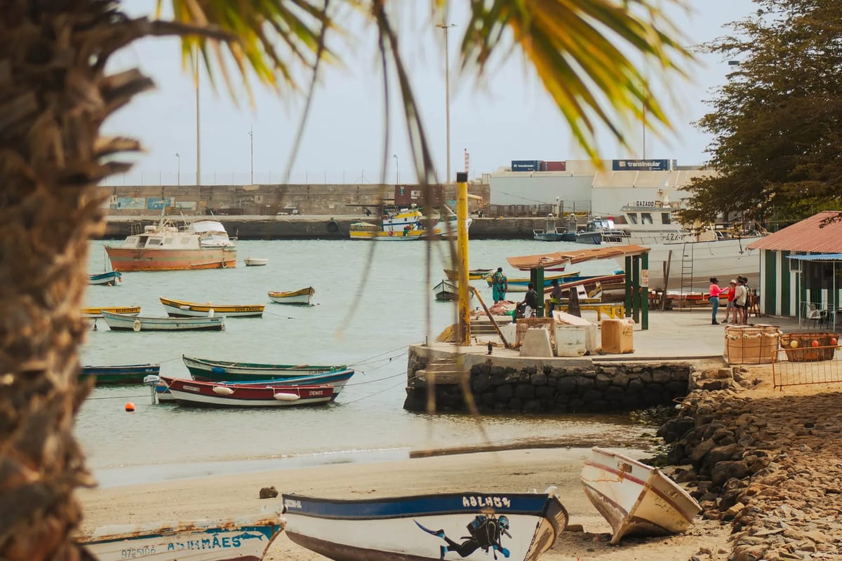 Sal Harbour - Photo 3