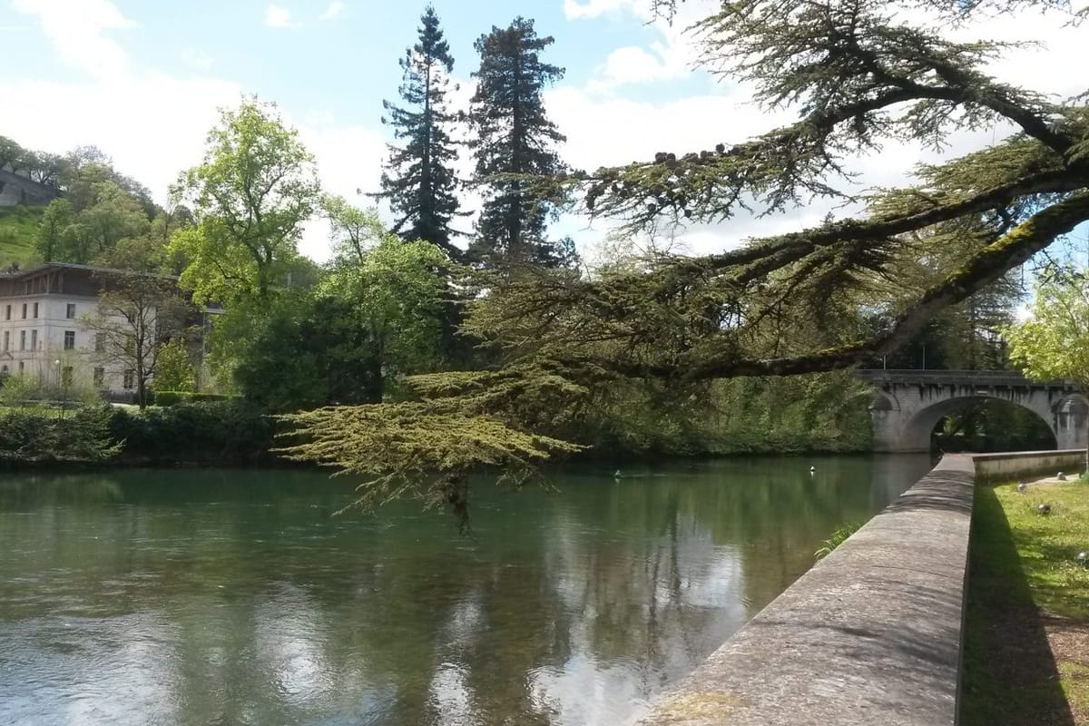 Port de Plaisance de l'Houmeau - Photo 4