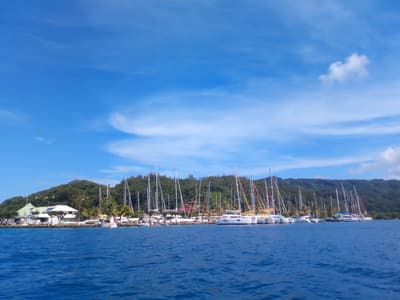 Apooiti - Photo 3