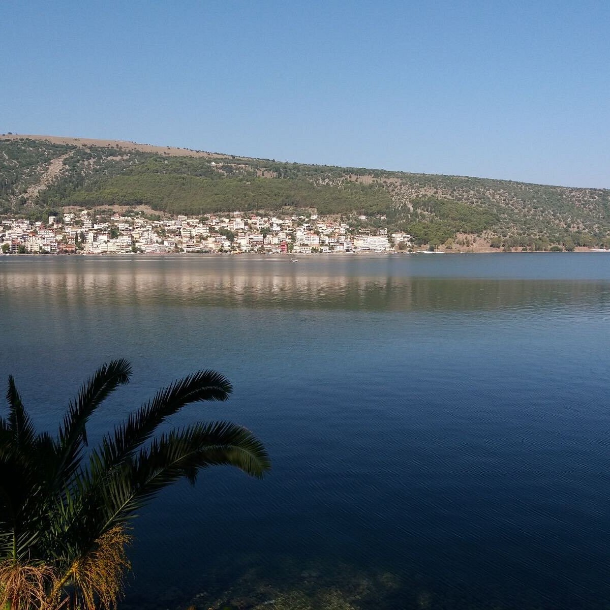 Bay tis Amfilochias - Photo 4