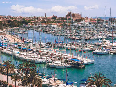 Club de Mar - Photo 3