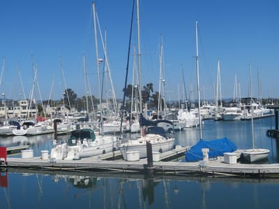 Ballena Isle Marina - Photo 1