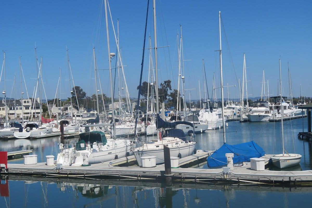 Ballena Isle Marina - Photo 1
