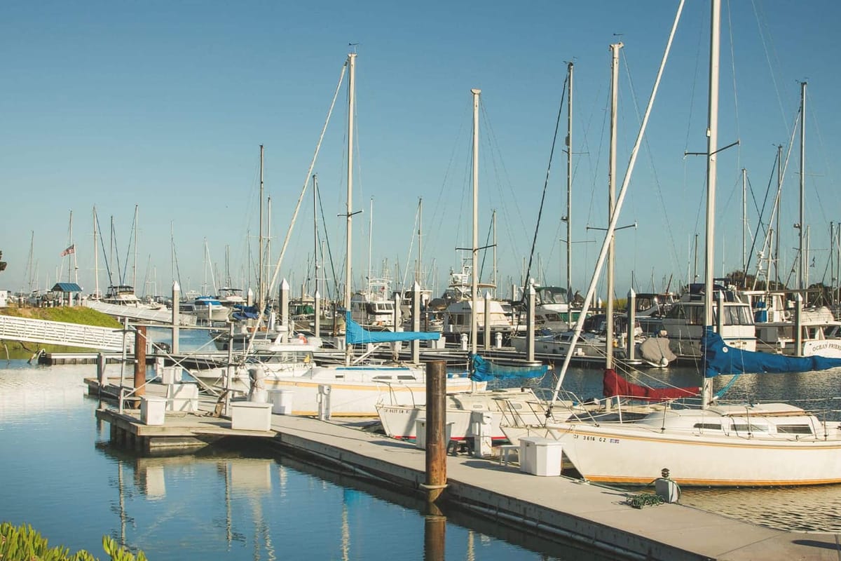 Ballena Isle Marina - Photo 2