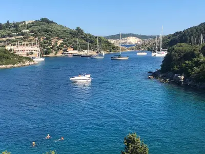 Mongonisi - Photo 2
