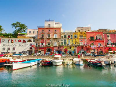 Procida Marina - Photo 2