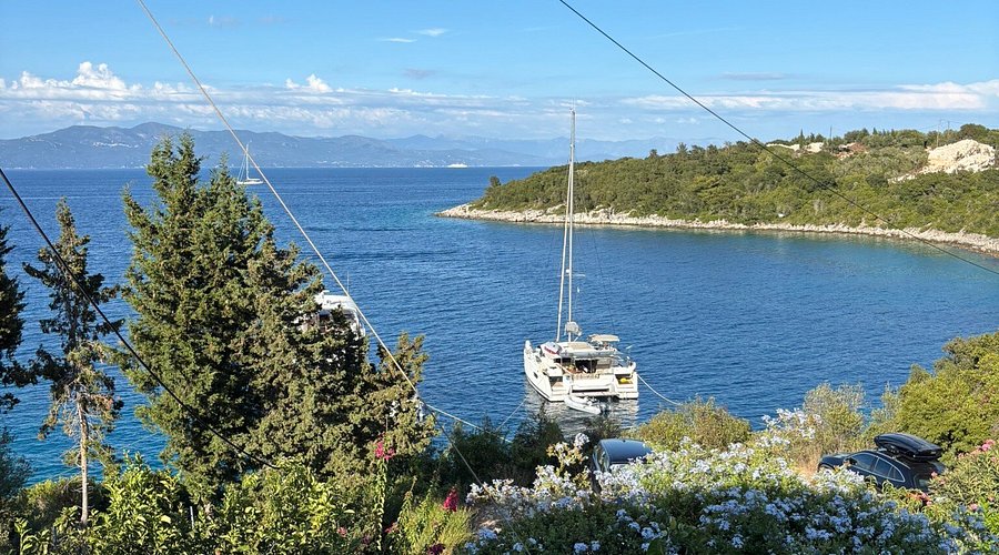 Bay Ozias - Photo 2