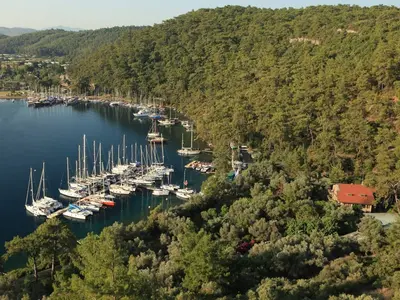 Karacasöğüt - Photo 2