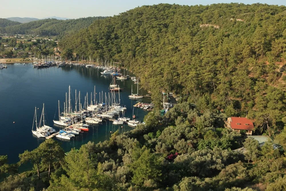 Karacasöğüt - Photo 2