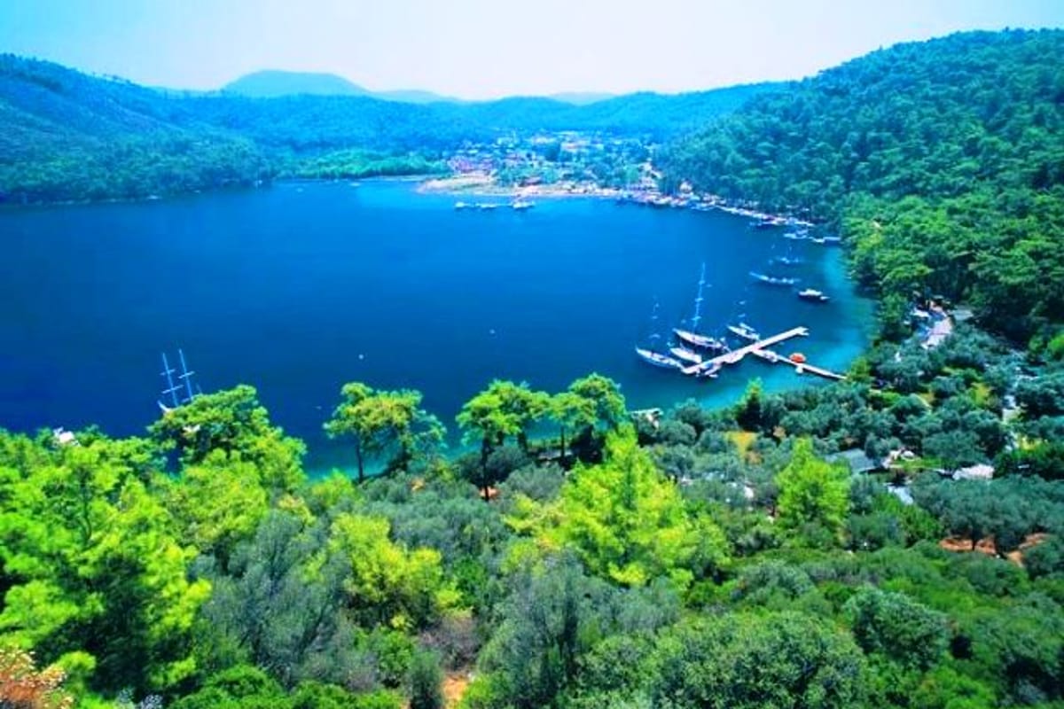 Karacasöğüt - Photo 4