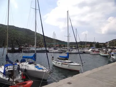 Small Port - Photo 4