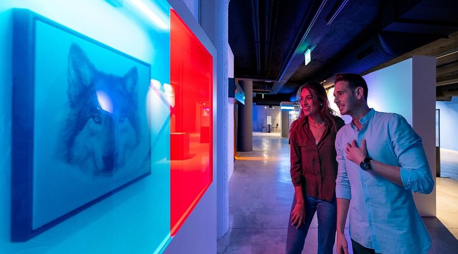 Museum Of Illusions