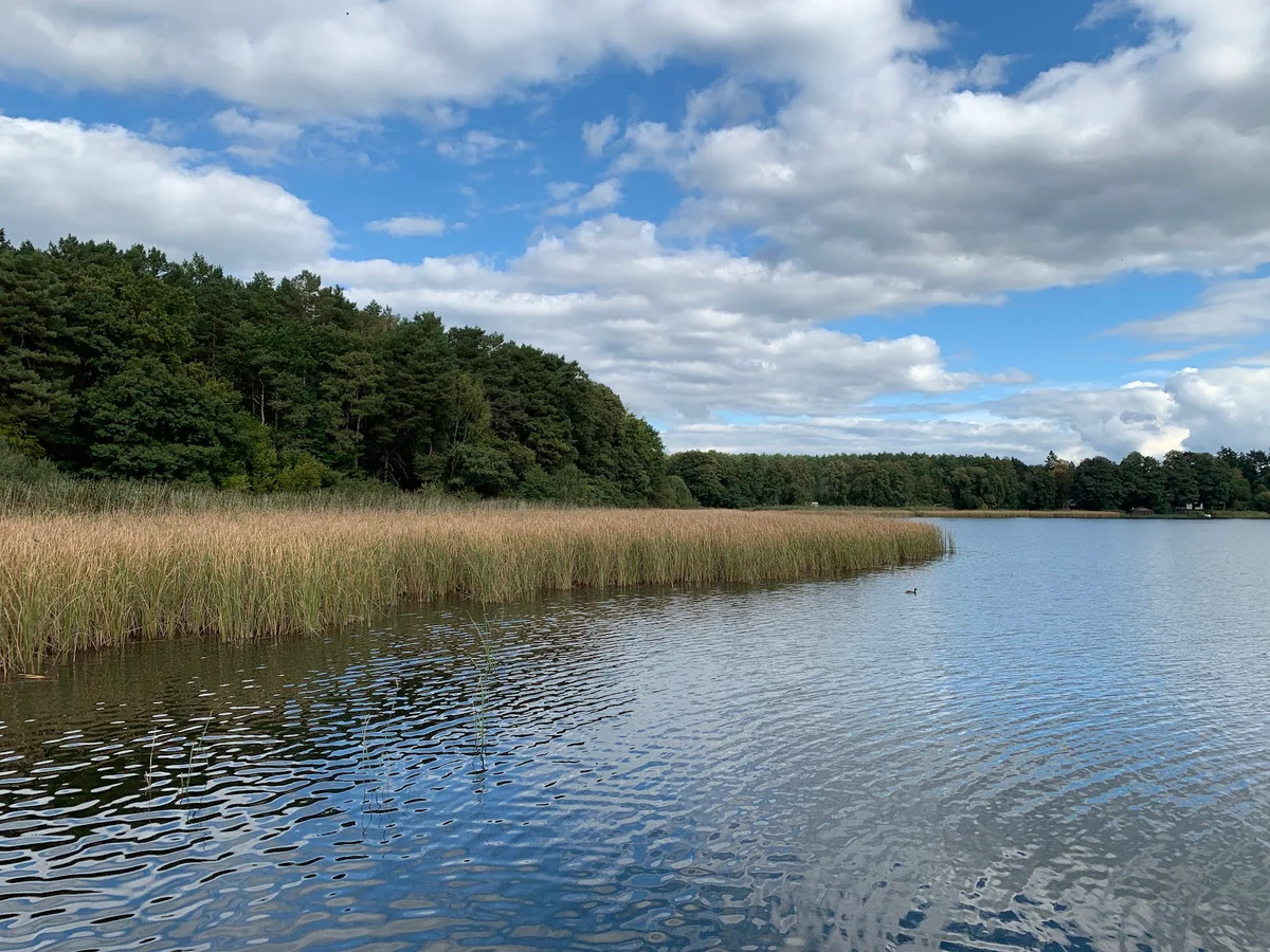 Festwiese am Röblinsee