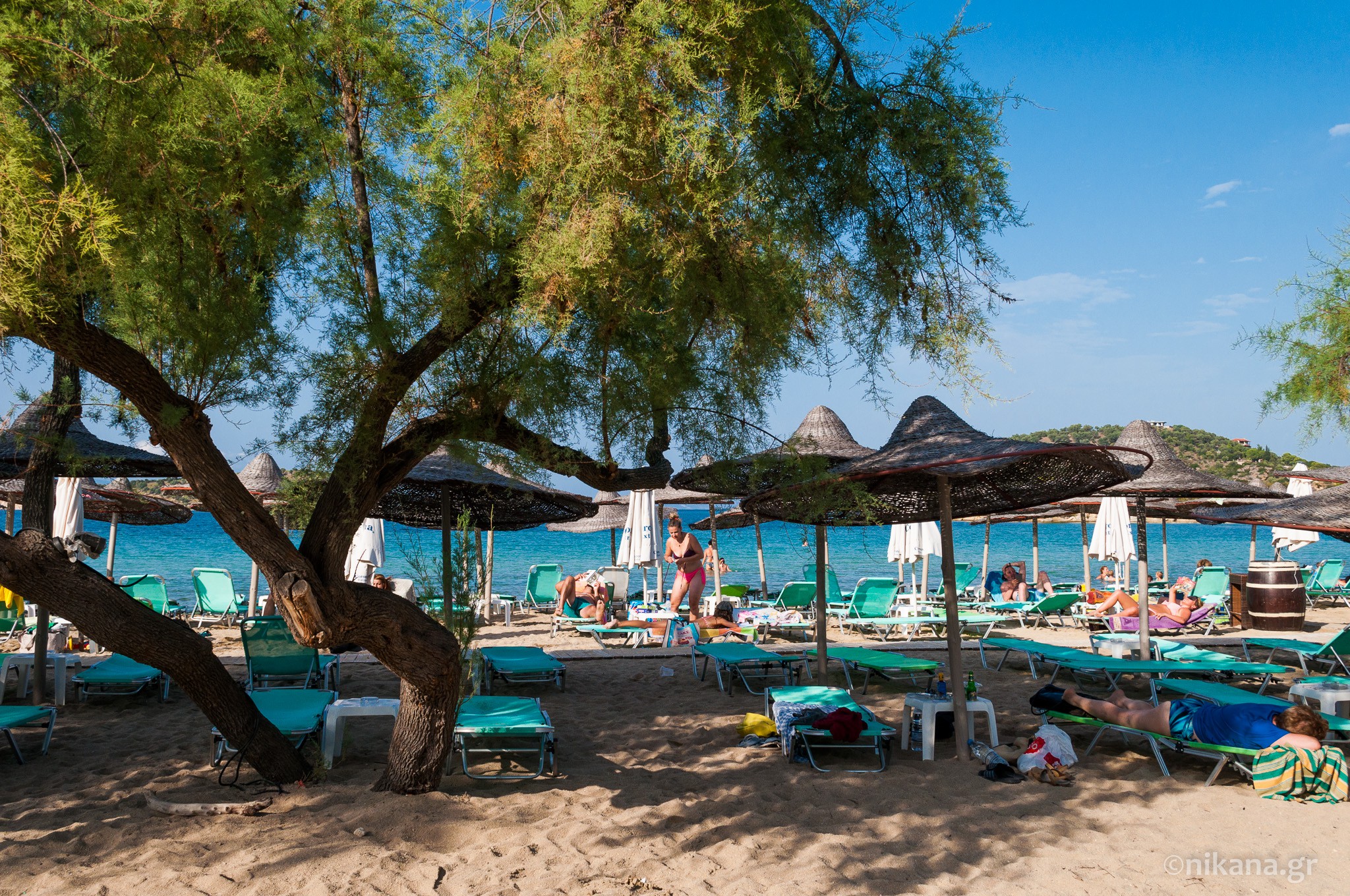Talgo Beach Bar