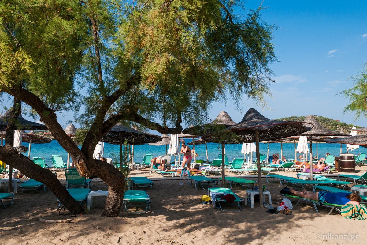 Talgo Beach Bar - Photo 1