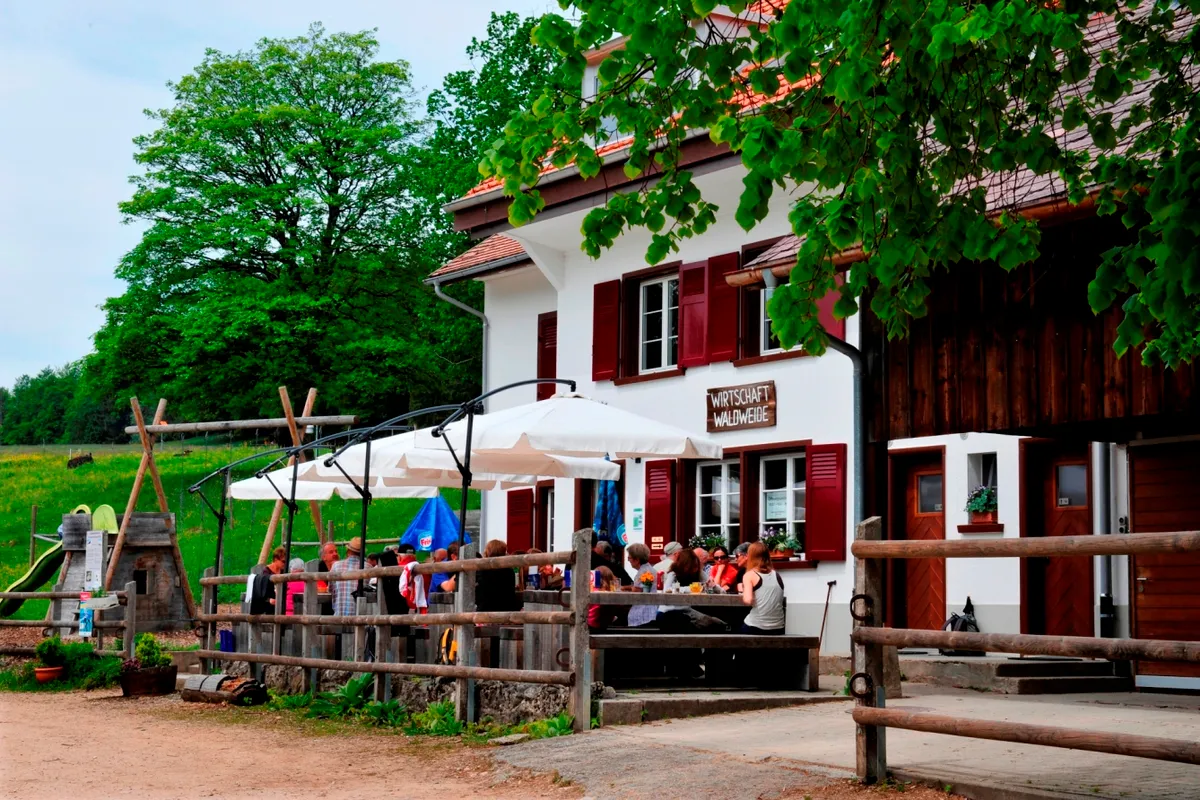 Forest Shop & Wild Bistro at the Bison Reserve - Photo 2
