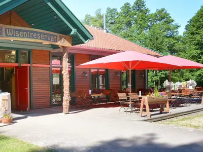 Forest Shop & Wild Bistro at the Bison Reserve - Photo 3