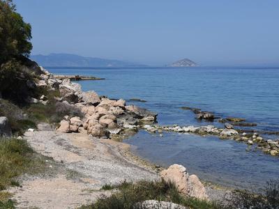 Crab Rock - Photo 3