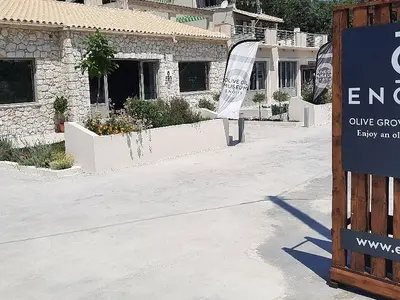Enotis - Olive Groves & Museum - Photo 4