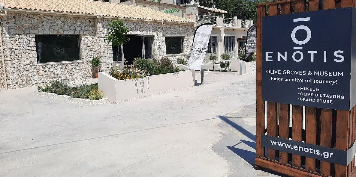 Enotis - Olive Groves & Museum - Photo 4
