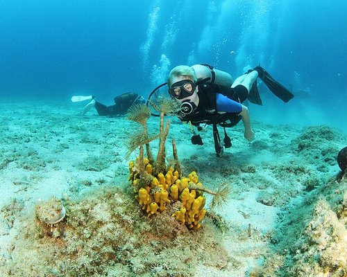 Snorkling Place