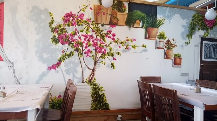 Zorbas - Photo 1