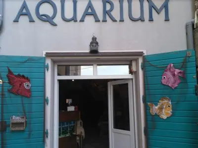 Vodice Aquarium and Maritime Tradition Museum - Photo 3