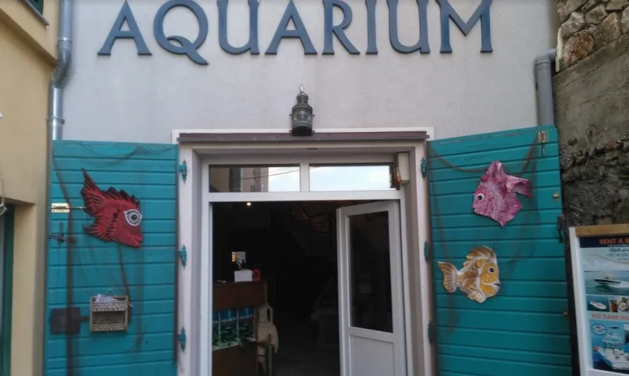Vodice Aquarium and Maritime Tradition Museum - Photo 3