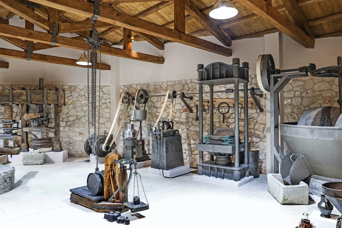 Enotis - Olive Groves & Museum - Photo 1