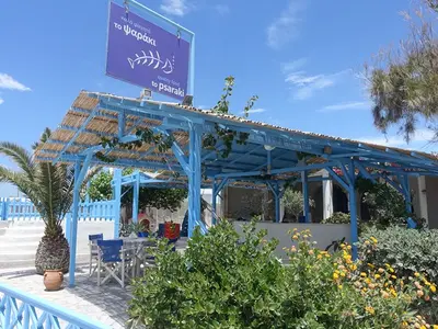 The Little Fish - Photo 5