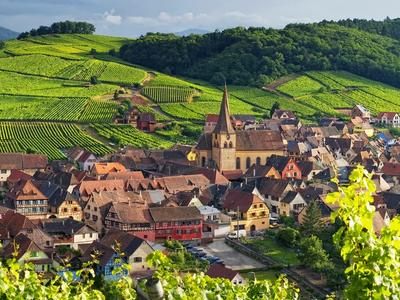 The Wine Roads - Photo 2