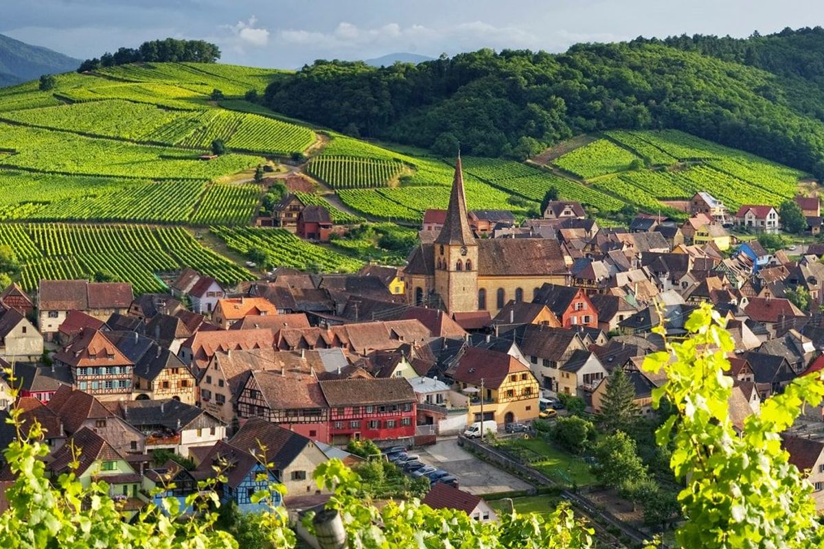 The Wine Roads - Photo 2