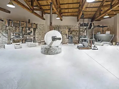 Enotis - Olive Groves & Museum - Photo 5