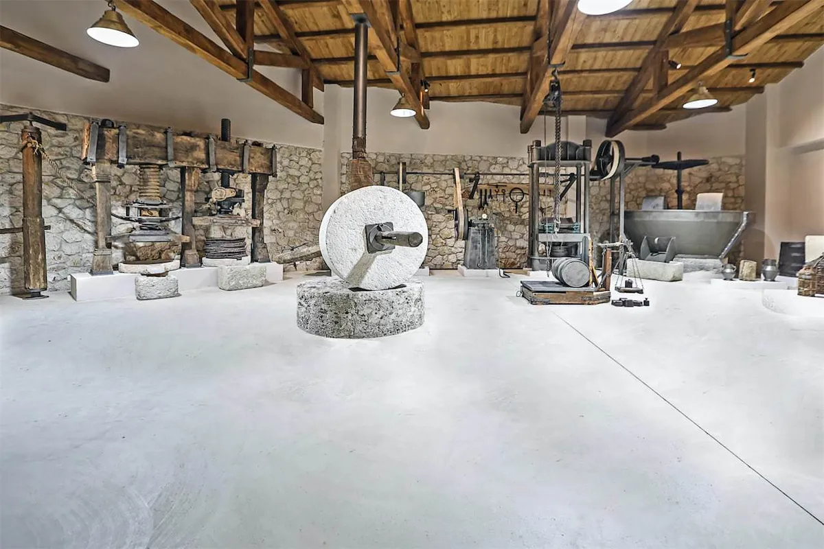 Enotis - Olive Groves & Museum - Photo 5
