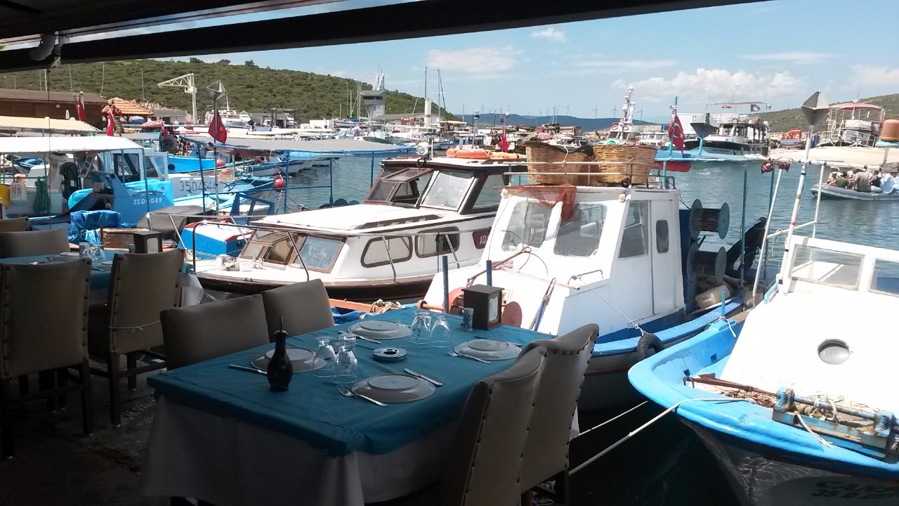 RİPARO