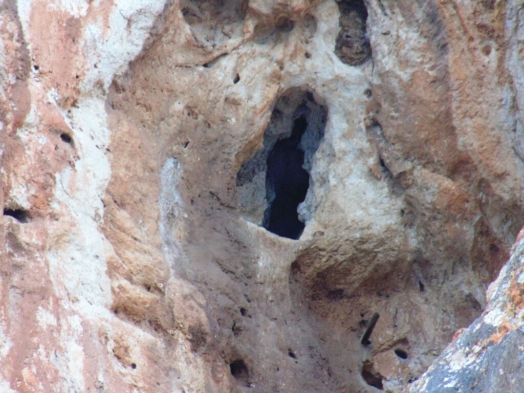 Mytikas-Kamplafka Climbing Field of Aitoloakarnania - Photo 4