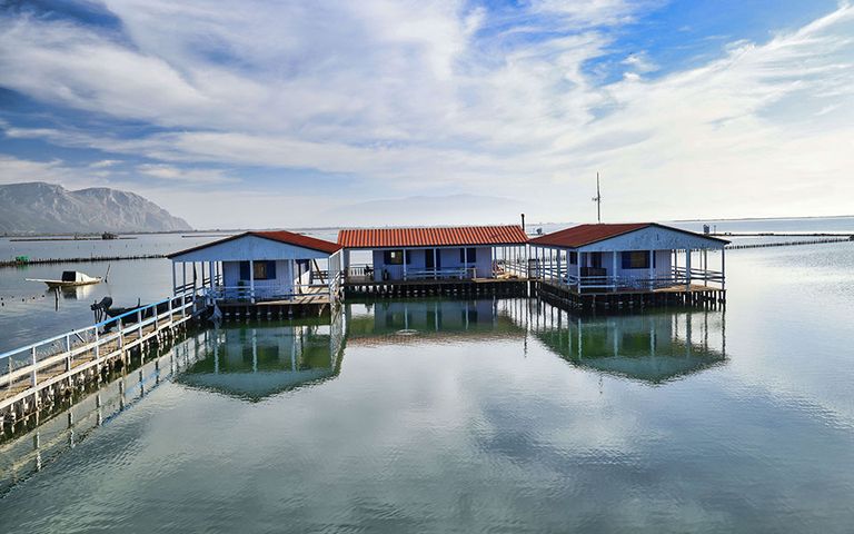 Mesolonghi Fish Market