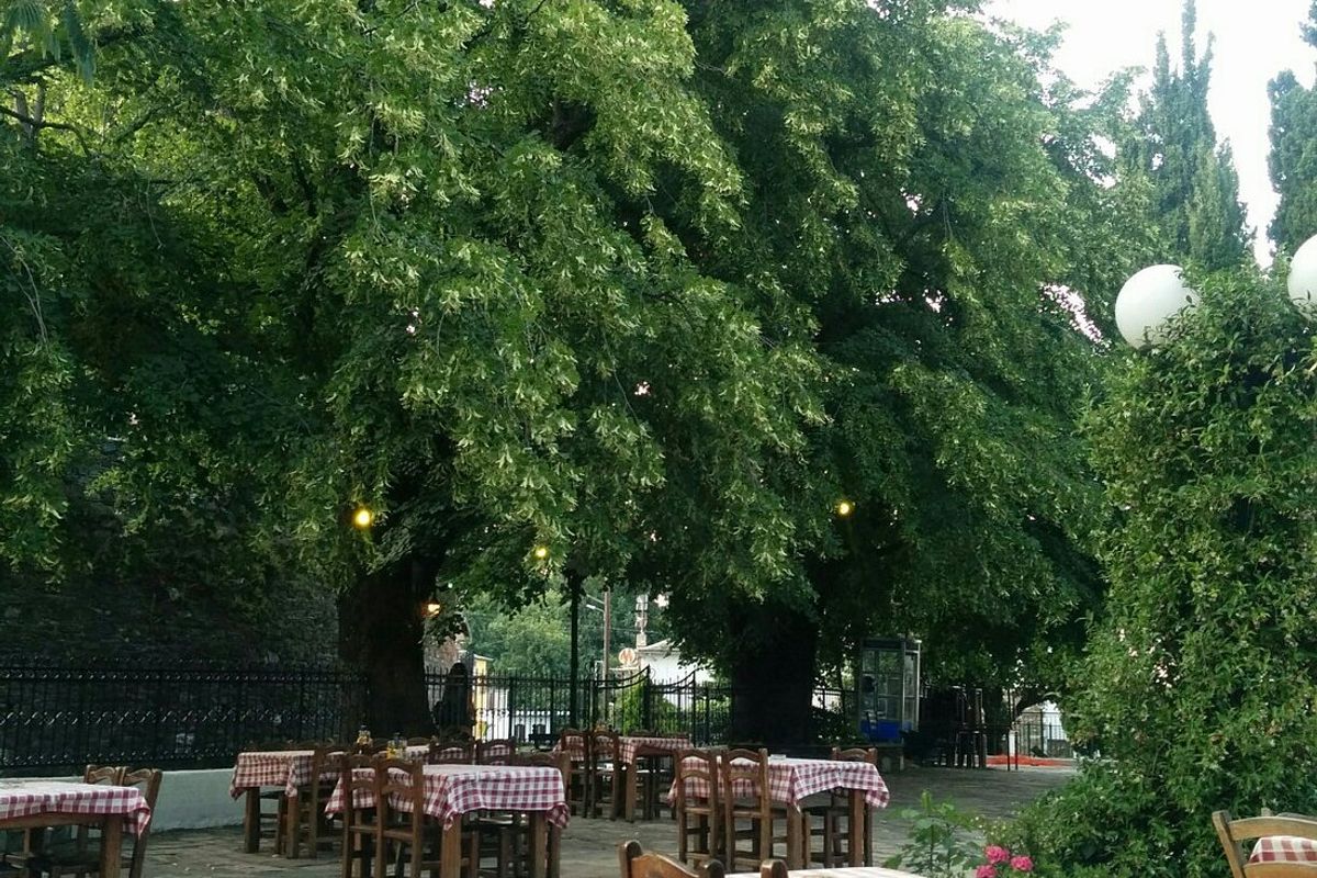 Grilled at Thraka - Photo 3