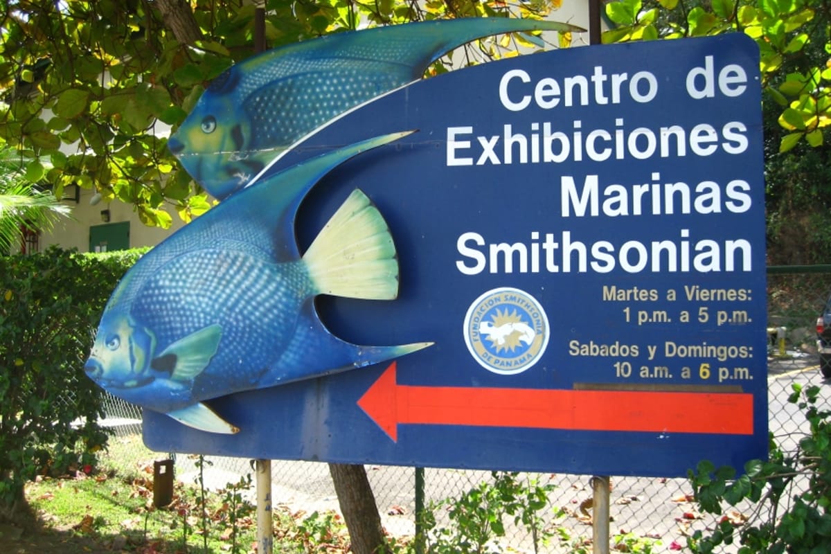 Marine Exhibitions Center - Main photo