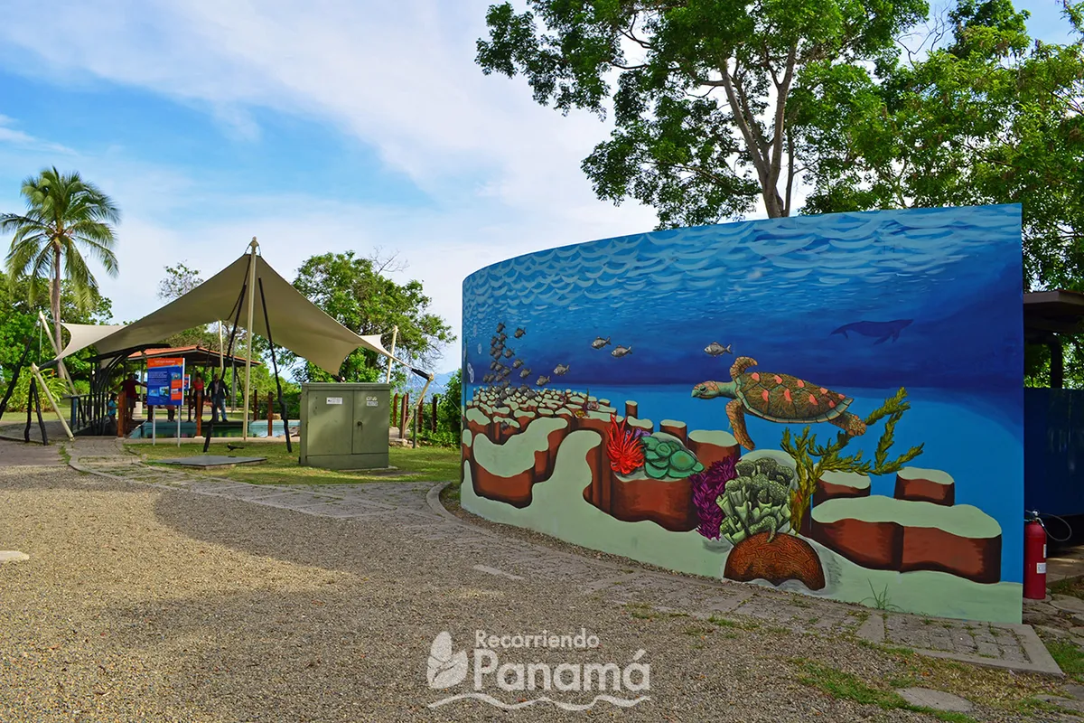 Marine Exhibitions Center - Photo 4