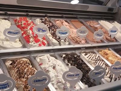 il pinguino gelato - Photo 1