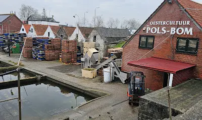 Oyster Pits - Photo 2
