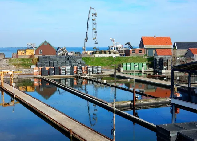 Oyster Pits - Photo 1