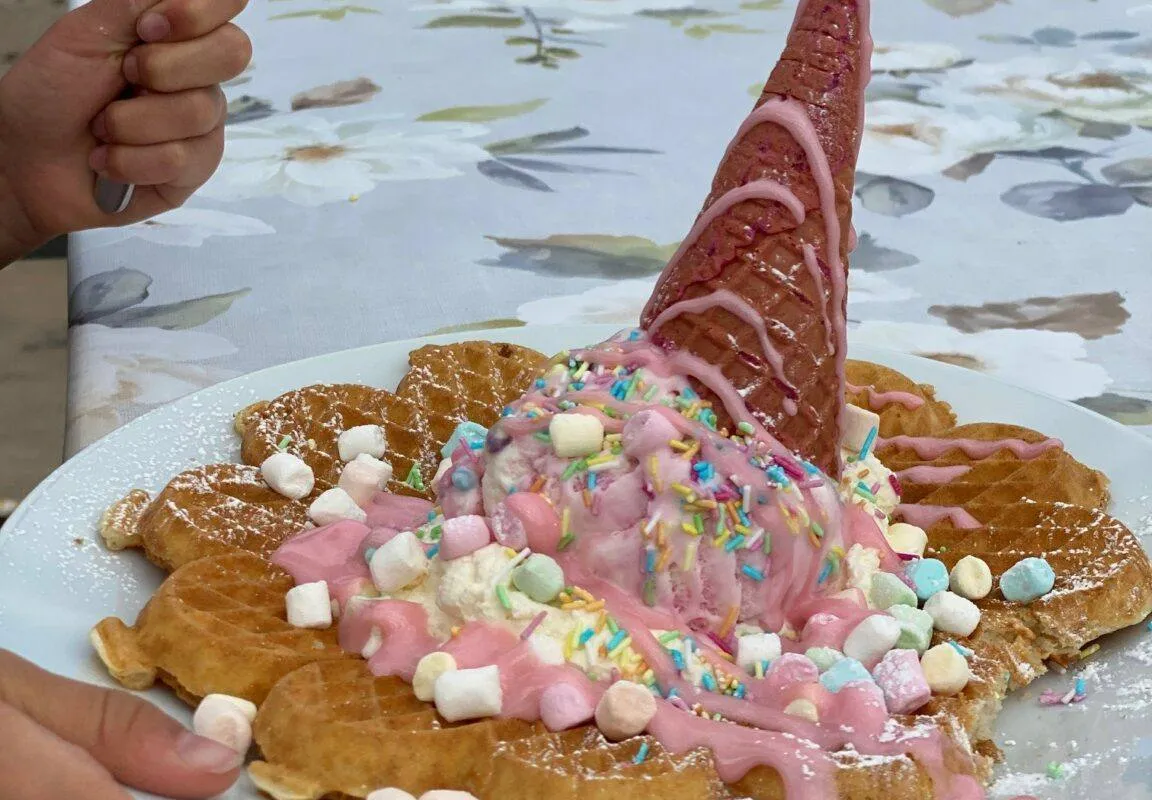The Ice Cream & Waffle Shack - Photo 2