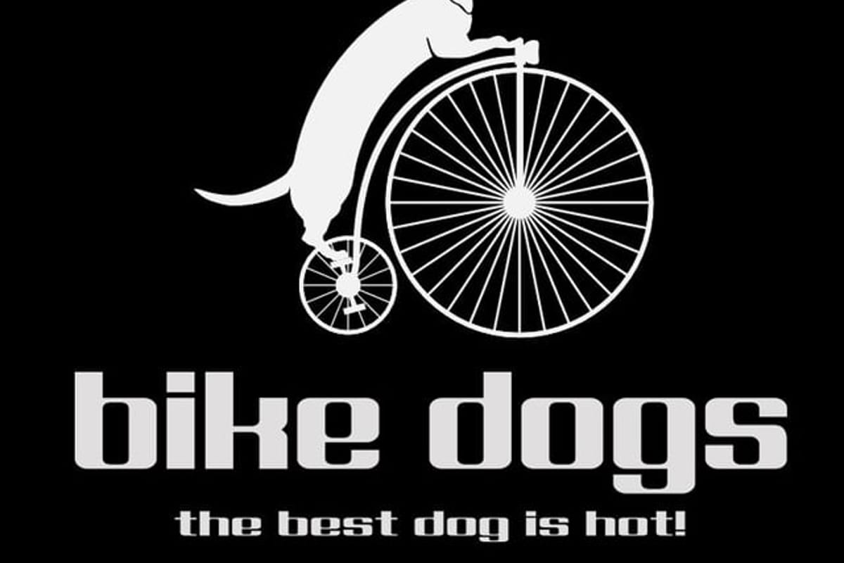 Bike dogs - Photo 3